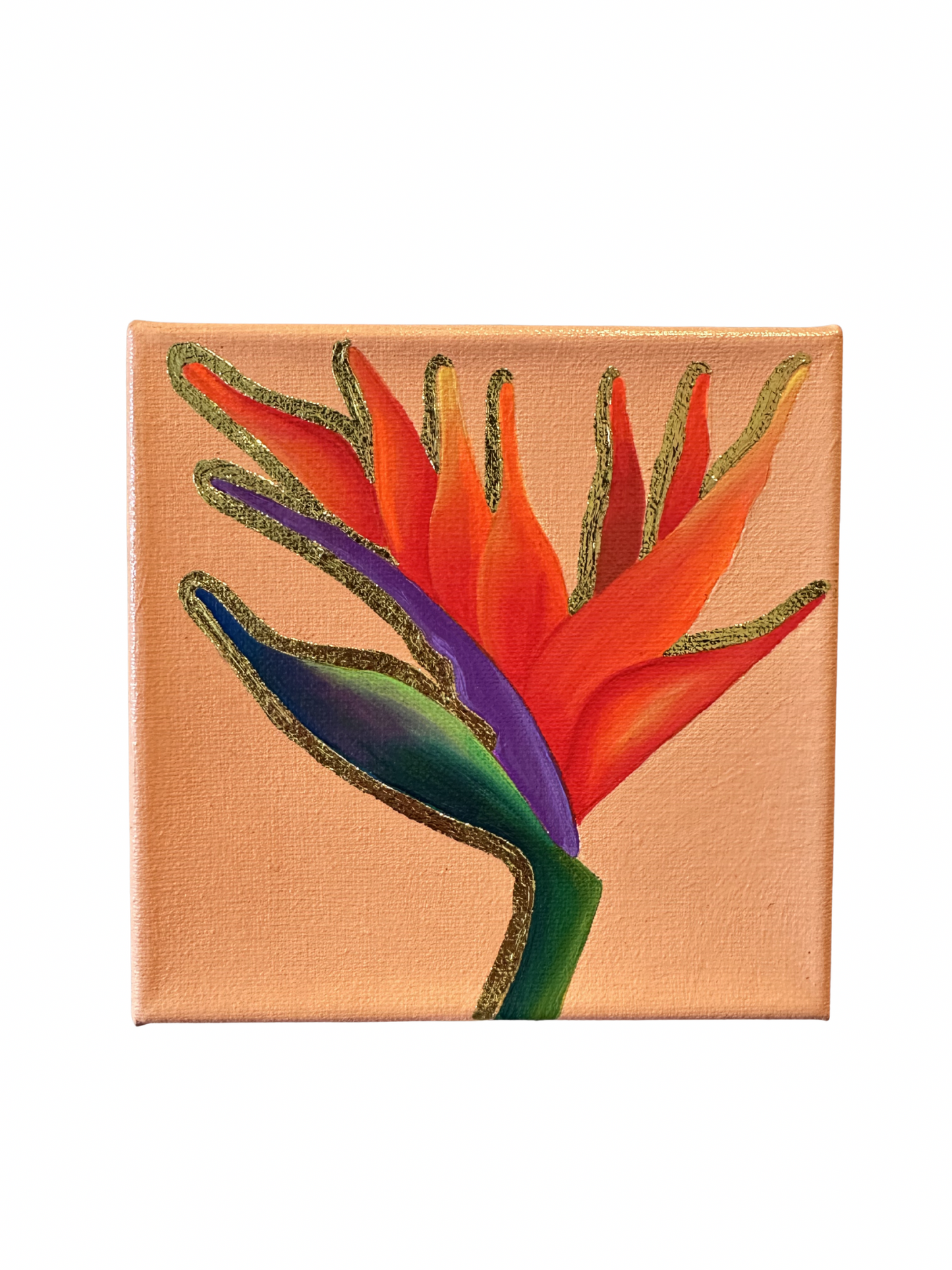Birds of Paradise