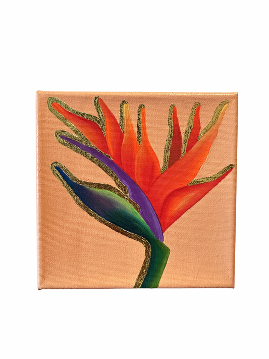 Birds of Paradise